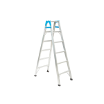 Dual-Purpose Ladder 