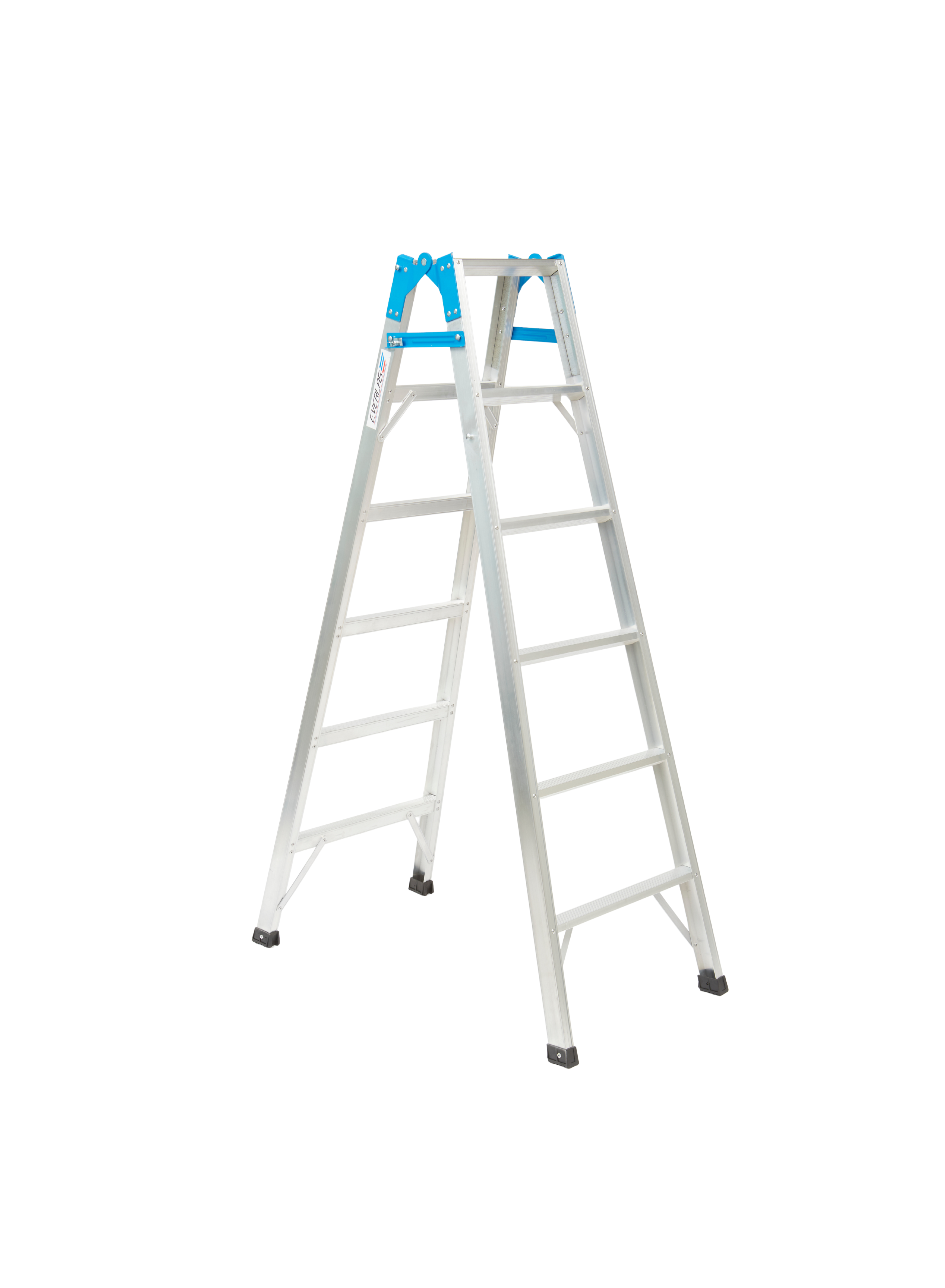 Dual-Purpose Ladder 