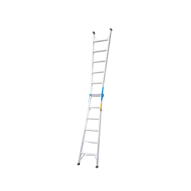 Dual-Purpose Ladder 