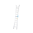 Dual-Purpose Ladder 