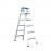 Dual-Purpose Ladder
