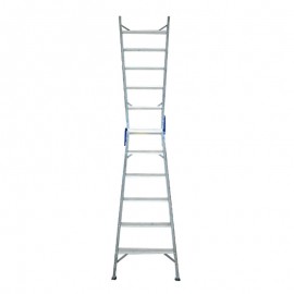 Dual-Purpose Ladder 