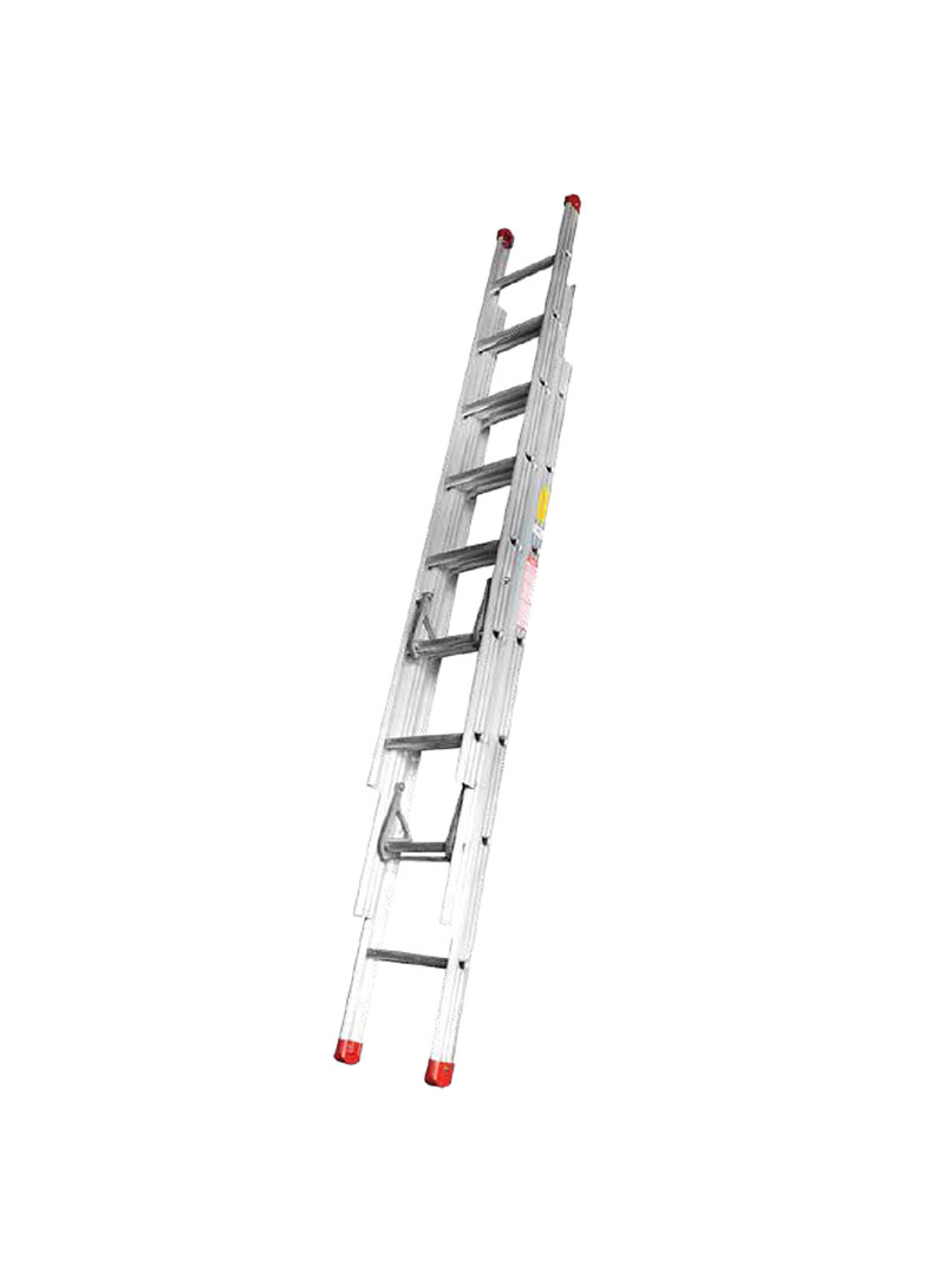 Triple Extension Extension Ladder 