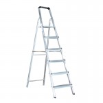 Platform Ladder