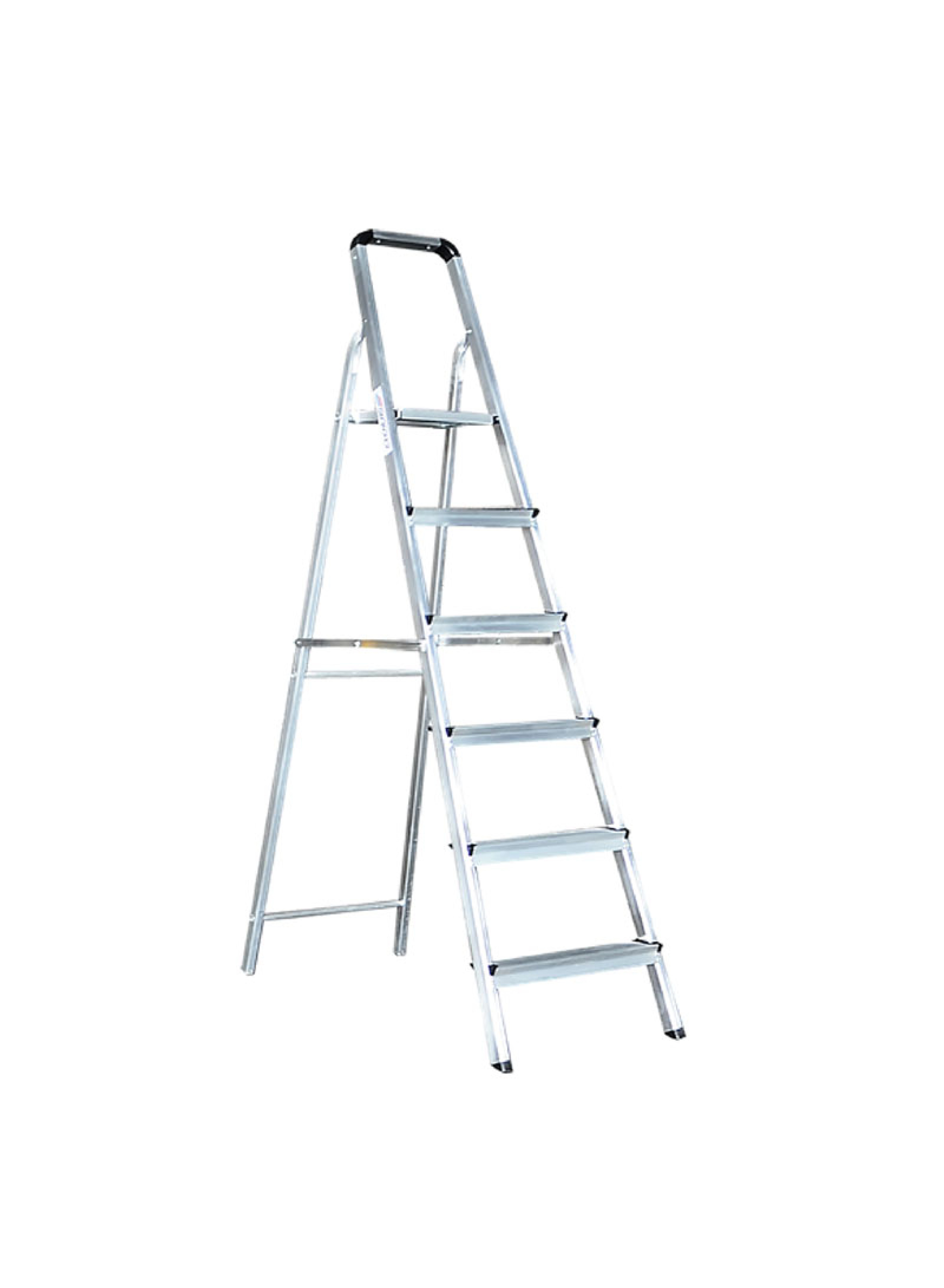 Platform Ladder
