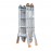 Multi-Purpose Ladder